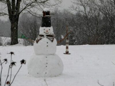 Photo of the Week: Frosty Feeder Image